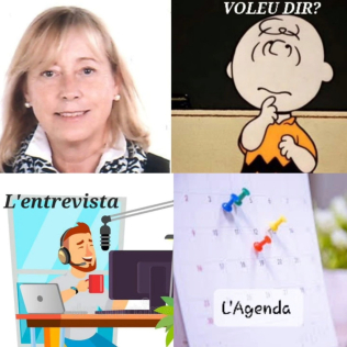 Finestra Oberta 17 octubre 2023.jpg