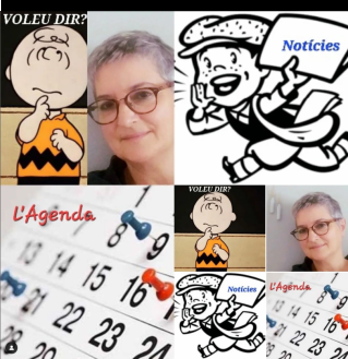 FOTO FINESTRA OBERTA 08.11.2022.png
