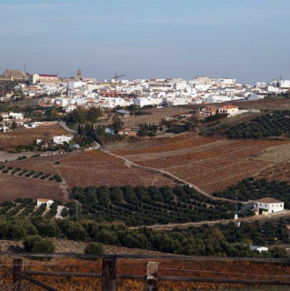 FOTO Montilla Cordoba 1 06.02.2023 ret.jpg