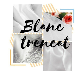 Frikinomikon 22 de març 2019 Blanc Trencat.jpg
