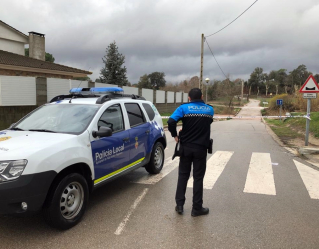 Gual de Sant Roc 23 gener 2020 al matí.jpg