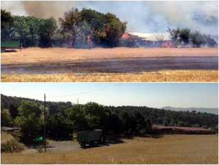 1 any incendi agrícola