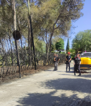 Incendi 23 juny 2022 B ret.jpg