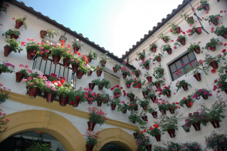 La Hora del Sur testos amb flors pati andalús ret.jpg