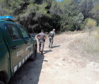 Palau Noticies 21.07.2022 Agents Rurals8RET.jpeg