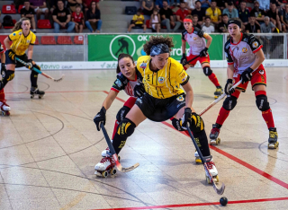 Partit hoquei Palau Manlleu gen 2024 ret.jpg