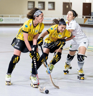 Partit Hoquei Palau vs Vila-Sana 6 març 2024.jpg