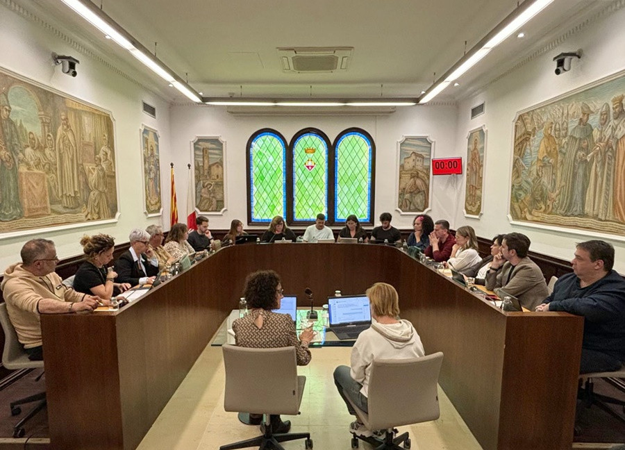 Ple Ajuntament 24 d'abril 2025 A ret.jpg