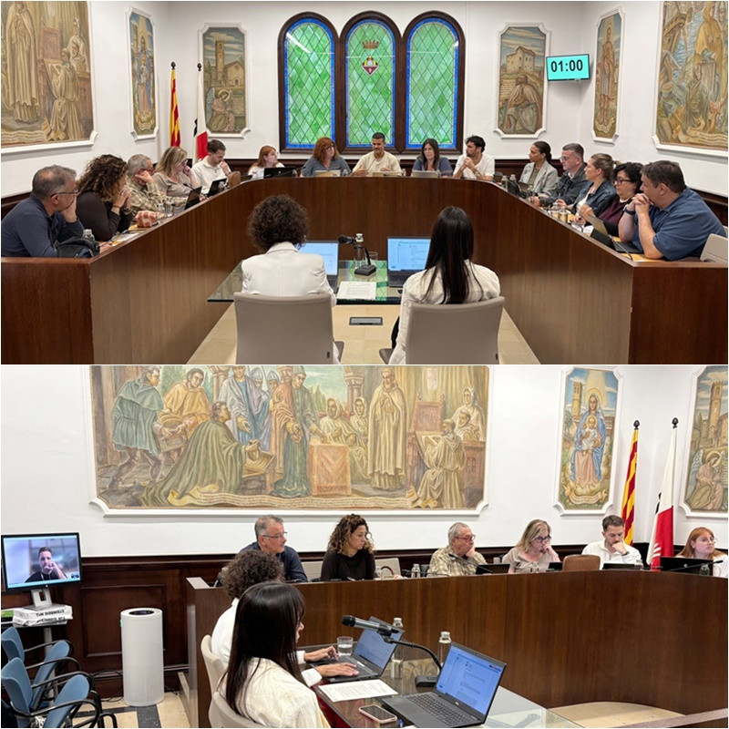 Ple Ajuntament 24 d'abril 2025 Collage.jpg