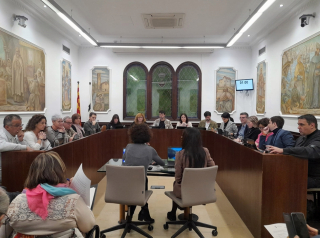 Ple Ajuntament 25 de gener 2024 ret.jpg