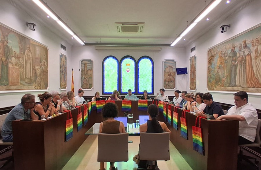 Ple Ajuntament 26 de juny 2025 A ret.jpg