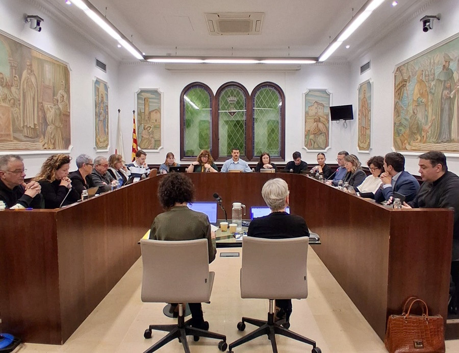 Ple Ajuntament 27 de febrer 2025 ret.jpg