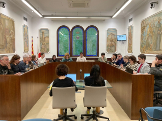 Ple Ajuntament 27 de març 2024 ret.jpg