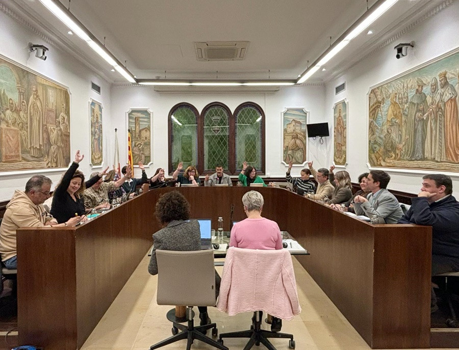 Ple Ajuntament 27 de març 2025 B ret.jpg