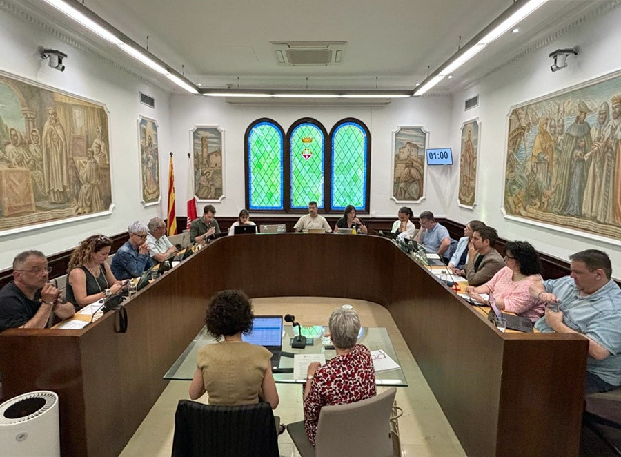 Ple Ajuntament 29 de maig 2025 B ret.jpg