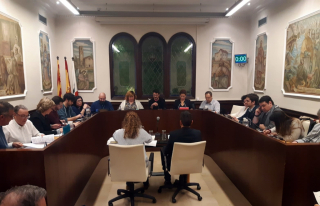 Ple Ajuntament 30 gener 2020 AA.jpg