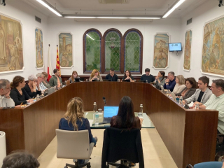 Ple Ajuntament 30 octubre 2024 A ret.jpg